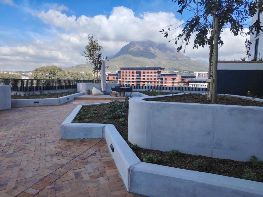 To Let 2 Bedroom Property for Rent in Observatory Western Cape